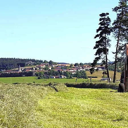 Des Myrtilles Saint-Bonnet-le-Froid