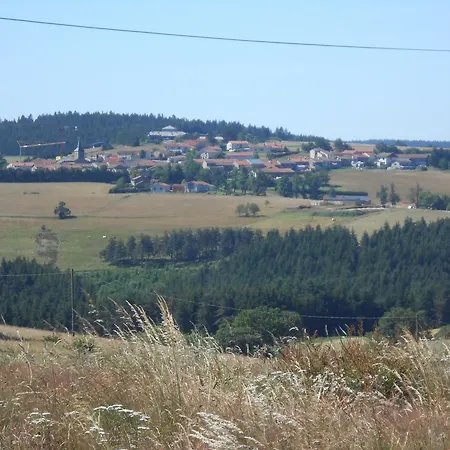 Des Myrtilles Saint-Bonnet-le-Froid
