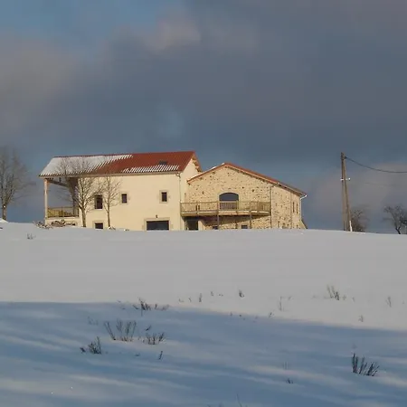 Hotel Des Myrtilles 3*