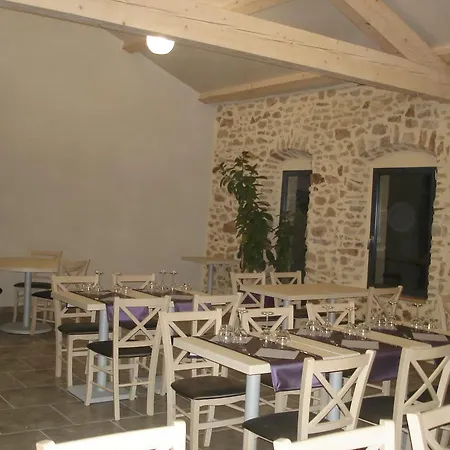 Des Myrtilles Saint-Bonnet-le-Froid